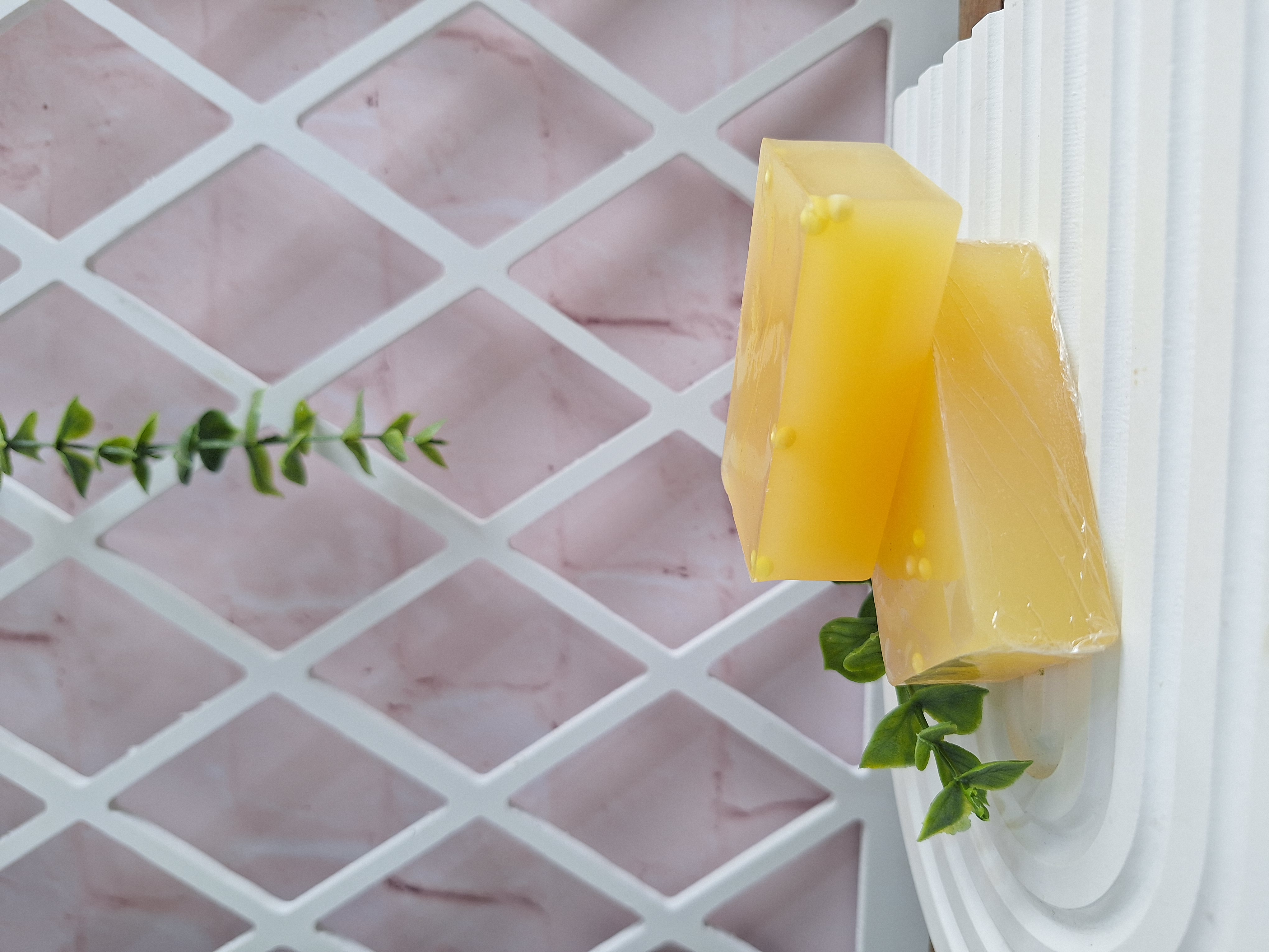 صابون حلزون مخصوص پوست های خشک